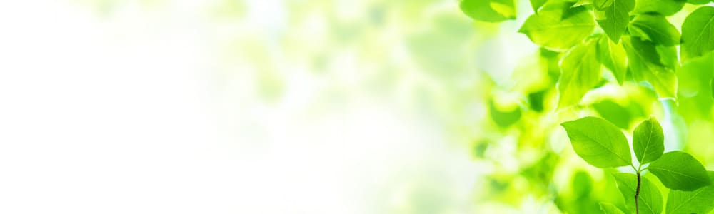 �y��s��p�݂�Ȃ̌��R�~�z��������5�I�͂����I